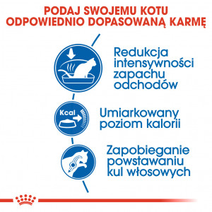 ROYAL CANIN Indoor 27 karma sucha dla kotów dorosłych, przebywających wyłącznie w domu