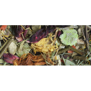 NATURAL-VIT Korona Natury - karma pełnoporcjowa dla szynszyli