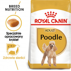 ROYAL CANIN Poodle Adult
