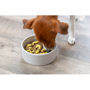 TRIXIE Mus wegetariański przysmak dla psa 300g