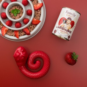 FAMILY FIRST Puszka dla psa Bogata w wołowinę z marchewką 400g