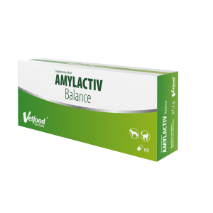 Amylactiv Balance