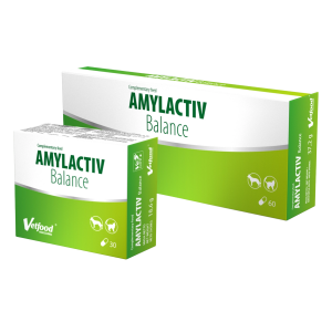 Amylactiv Balance