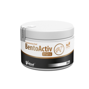 BentoActiv mini 30 g
