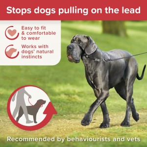 BEAPHAR Gentle Leader - obroża uzdowa rozmiar L