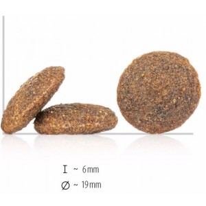 HAPPY DOG Sensible France