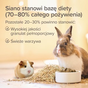 BEAPHAR Care Timothy 1kg - sianko z tymotką łąkową