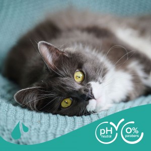 BEAPHAR Shampoo Cat - szampon dla kotów 250 ml