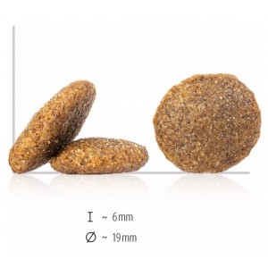 HAPPY DOG Sensible Neuseeland