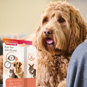 BEAPHAR Eye Gel żel z witaminą A do oczu pies kot 5ml