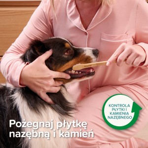 BEAPHAR Bamboo Toothbrush babusowa szczoteczka dla psa i kota