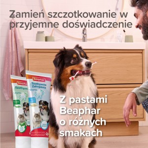 BEAPHAR Bamboo Toothbrush babusowa szczoteczka dla psa i kota
