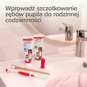 BEAPHAR Bamboo Toothbrush babusowa szczoteczka dla psa i kota