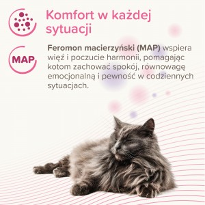BEAPHAR Catcomfort Calming Spot-On krople z fermonami dla kota 3x 0,55 ml