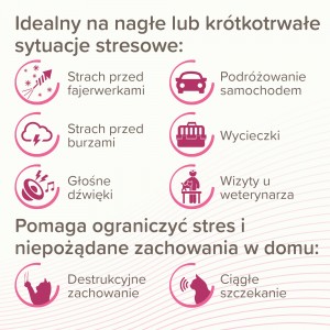 BEAPHAR Catcomfort Calming Spot-On krople z fermonami dla kota 3x 0,55 ml