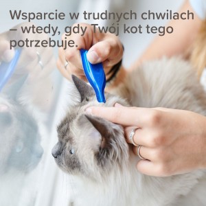 BEAPHAR Catcomfort Calming Spot-On krople z fermonami dla kota 3x 0,55 ml