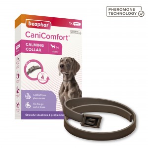 BEAPHAR Canicomfort Calming Collar Dog 65cm