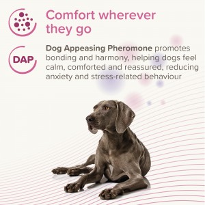 BEAPHAR Canicomfort Calming Collar Dog 65cm