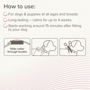 BEAPHAR Canicomfort Calming Collar Dog 65cm