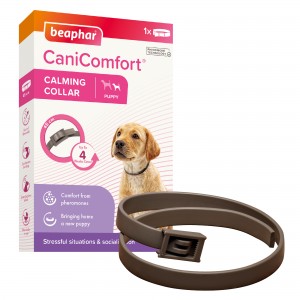 BEAPHAR Canicomfort Calming Collar Puppy 45cm