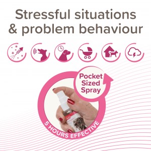 BEAPHAR Canicomfort Spray z feromonami dla psów 60 ml