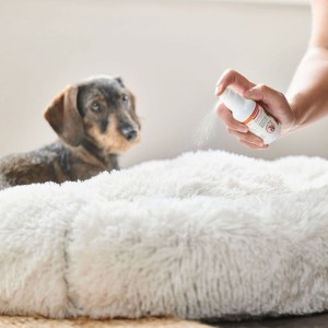 BEAPHAR Canicomfort Spray z feromonami dla psów 60 ml