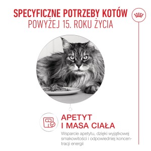ROYAL CANIN Ageing 15+ karma sucha dla kotów dojrzałych po 15 roku życia