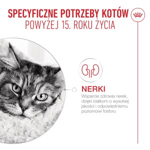 ROYAL CANIN Ageing 15+ karma sucha dla kotów dojrzałych po 15 roku życia
