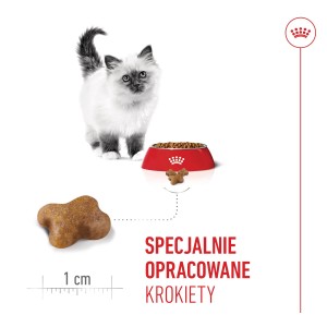 ROYAL CANIN Kitten karma sucha dla kociąt od 4 do 12 miesiąca życia
