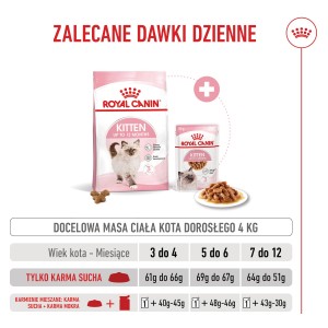 ROYAL CANIN Kitten karma sucha dla kociąt od 4 do 12 miesiąca życia