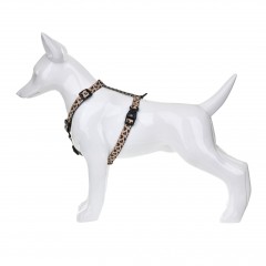 BARRY KING Szelki Safari Love