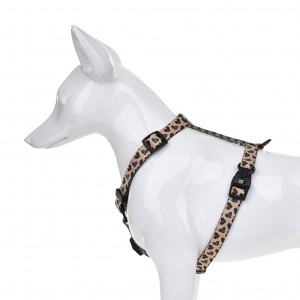 BARRY KING Szelki Safari Love