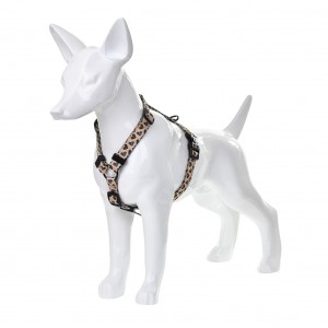 BARRY KING Szelki Safari Love