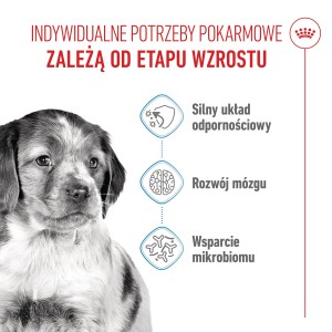 ROYAL CANIN Medium Puppy karma sucha dla szczeniąt ras średnich, od 2 do 12 miesiąca