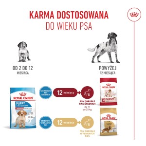 ROYAL CANIN Medium Puppy karma sucha dla szczeniąt ras średnich, od 2 do 12 miesiąca