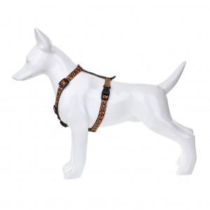 BARRY KING Szelki Dzika Pantera