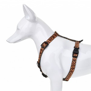 BARRY KING Szelki Dzika Pantera