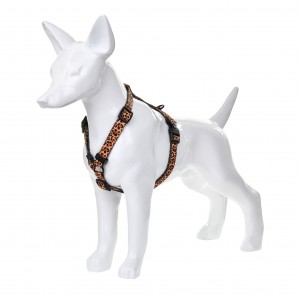 BARRY KING Szelki Dzika Pantera