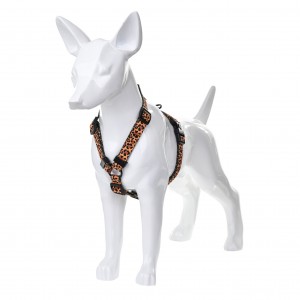 BARRY KING Szelki Dzika Pantera