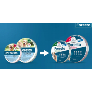 BAYER Obroża Foresto dla psów 70 cm