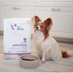 VETEXPERT 4T Vet. Diet Dog Dermatosis Lamb and Krill 2kg