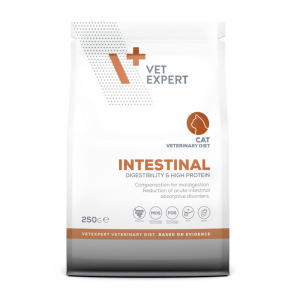 VETEXPERT 4T Vet. Diet Intestinal Cat 250g