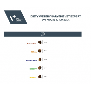 VETEXPERT 4T Vet. Diet Intestinal Cat 250g
