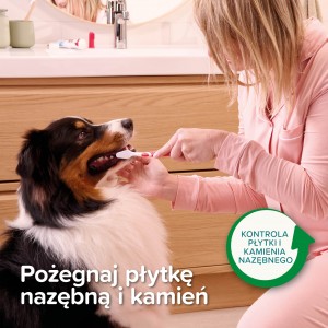 BEAPHAR Toothpaste Mint and Parsley pasta do zebów dla psa kota
