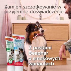 BEAPHAR Fingerpad Dental czyścik 2 szt