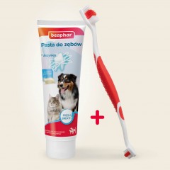 BEAPHAR Combipack Dental Adult pasta o smaku wątróbki plus szczoteczka dla psa kota 100g