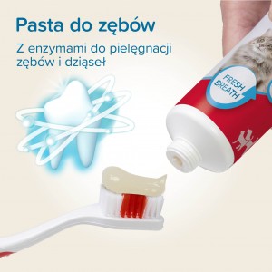 BEAPHAR Combipack Dental Adult pasta o smaku wątróbki plus szczoteczka dla psa kota 100g