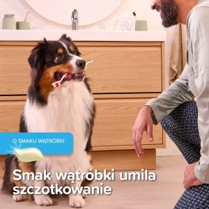 BEAPHAR Combipack Dental Adult pasta o smaku wątróbki plus szczoteczka dla psa kota 100g