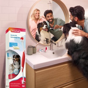 BEAPHAR Combipack Dental Adult pasta o smaku wątróbki plus szczoteczka dla psa kota 100g