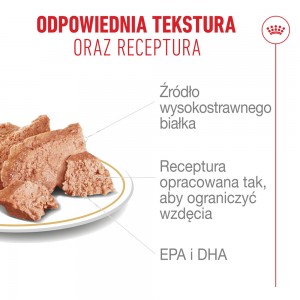 ROYAL CANIN CCN Dermacomfort karma mokra 85g